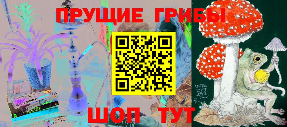 Псилоцибиновые грибы мухоморы Горячий Ключ
